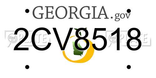 2CV8518 Georgia License Plate