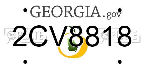 2CV8818 Georgia License Plate