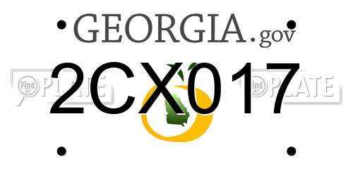 2CX017 Georgia License Plate