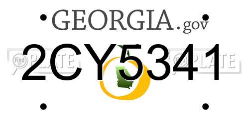 2CY5341 Georgia License Plate