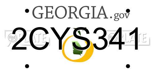 2CYS341 Georgia License Plate