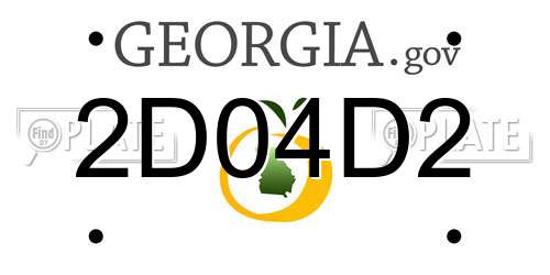 2D04D2 Georgia License Plate
