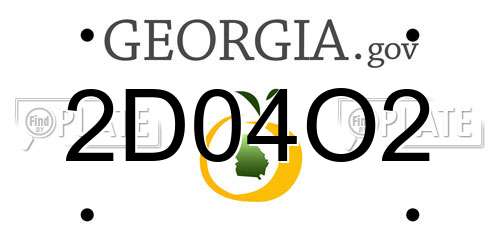 2D04O2 Georgia License Plate