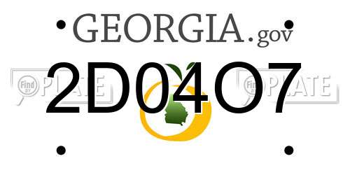 2D04O7 Georgia License Plate