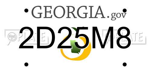 2D25M8 Georgia License Plate