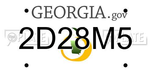 2D28M5 Georgia License Plate