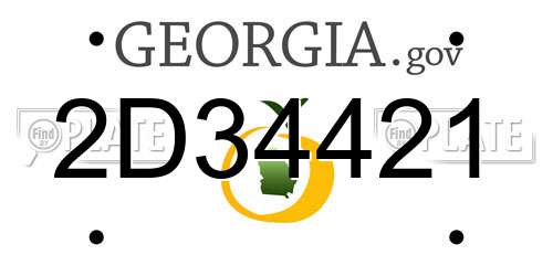 2D34421 Georgia License Plate