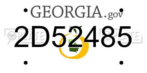 2D52485 Georgia License Plate