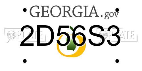 2D56S3 Georgia License Plate