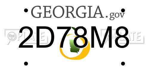 2D78M8 Georgia License Plate
