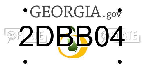 2DBB04 Georgia License Plate