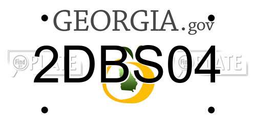 2DBS04 Georgia License Plate