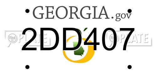 2DD407 Georgia License Plate