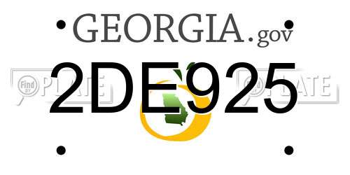 2DE925 Georgia License Plate