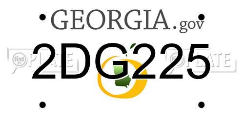 2DG225 Georgia License Plate
