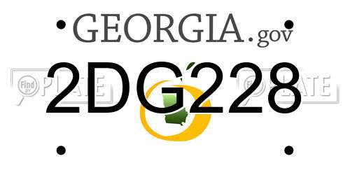 2DG228 Georgia License Plate