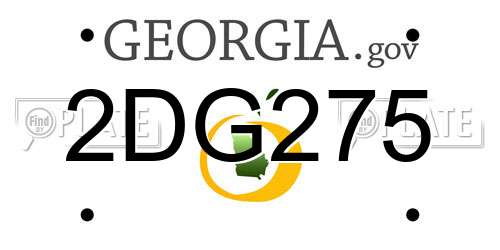 2DG275 Georgia License Plate