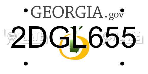 2DGL655 Georgia License Plate