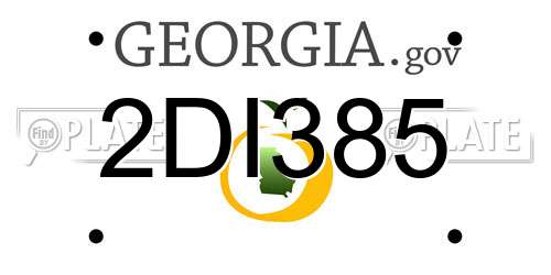 2DI385 Georgia License Plate