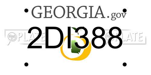 2DI388 Georgia License Plate