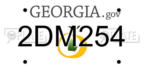 2DM254 Georgia License Plate