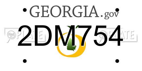 2DM754 Georgia License Plate