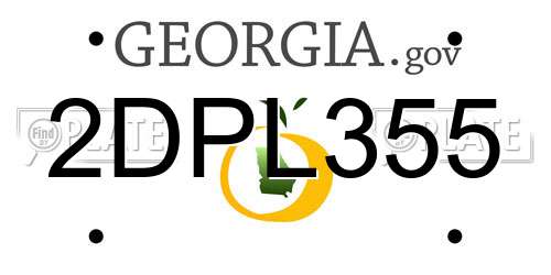 2DPL355 Georgia License Plate