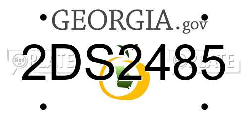 2DS2485 Georgia License Plate