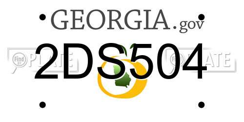 2DS504 Georgia License Plate