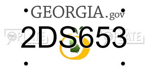 2DS653 Georgia License Plate