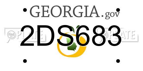 2DS683 Georgia License Plate