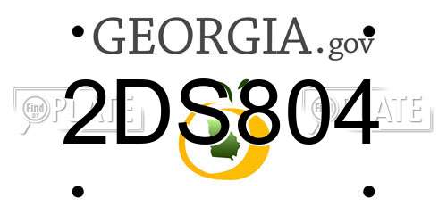 2DS804 Georgia License Plate