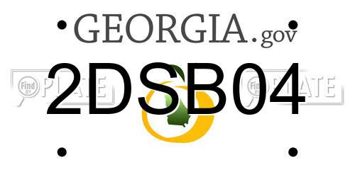 2DSB04 Georgia License Plate