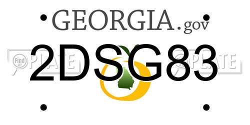 2DSG83 Georgia License Plate