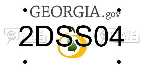 2DSS04 Georgia License Plate