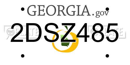 2DSZ485 Georgia License Plate
