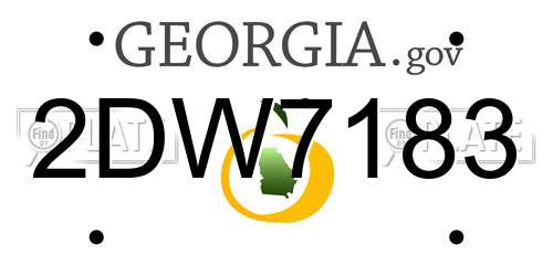2DW7183 Georgia License Plate