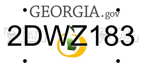 2DWZ183 Georgia License Plate