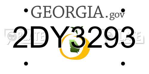 2DY3293 Georgia License Plate