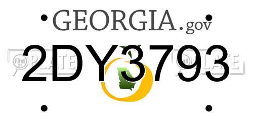 2DY3793 Georgia License Plate