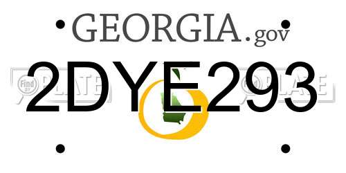 2DYE293 Georgia License Plate