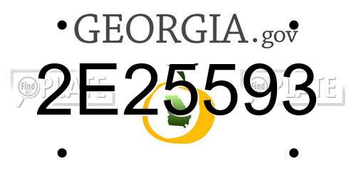 2E25593 Georgia License Plate