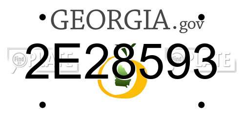 2E28593 Georgia License Plate