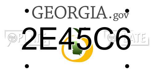 2E45C6 Georgia License Plate