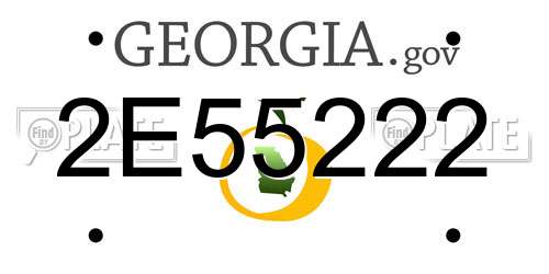 2E55222 Georgia License Plate