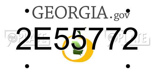 2E55772 Georgia License Plate