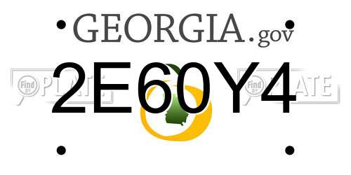 2E60Y4 Georgia License Plate
