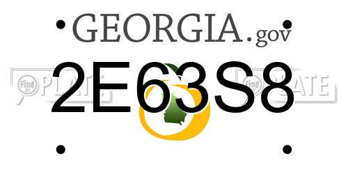 2E63S8 Georgia License Plate