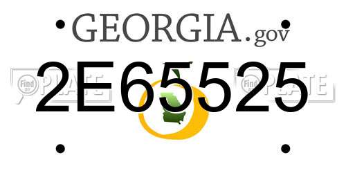 2E65525 Georgia License Plate
