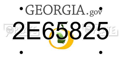 2E65825 Georgia License Plate